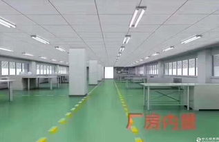松岗罗田第三工业区,5万平独门独院厂房出租