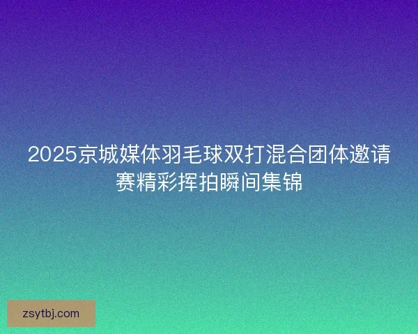 2025京城媒体羽毛球双打混合团体邀请赛精彩挥拍瞬间集锦
